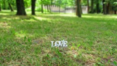 Liebe im Gras